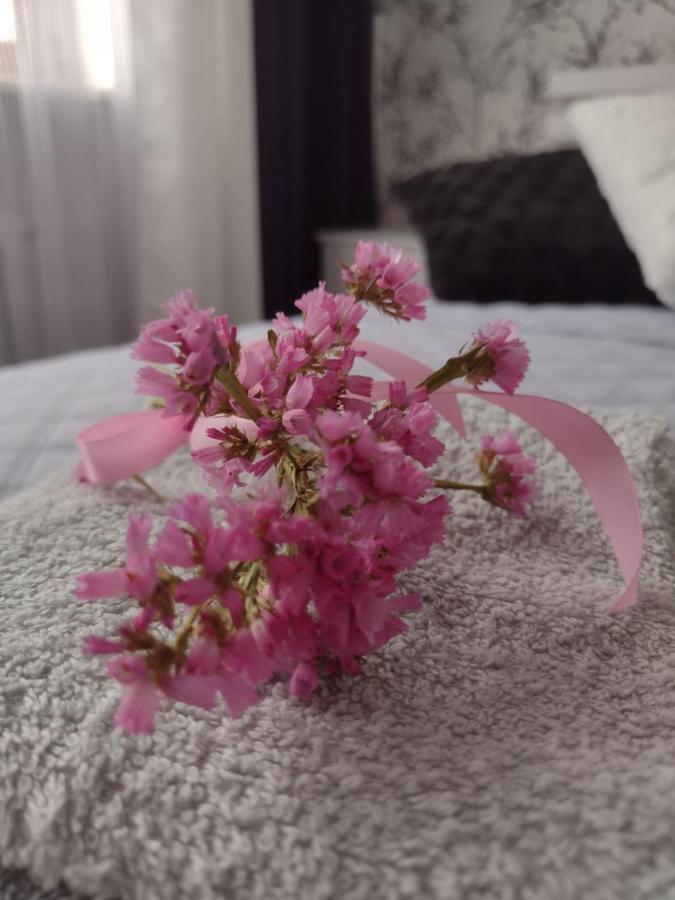 Apartament Nad Jeziorakiem Iława Eksteriør bilde