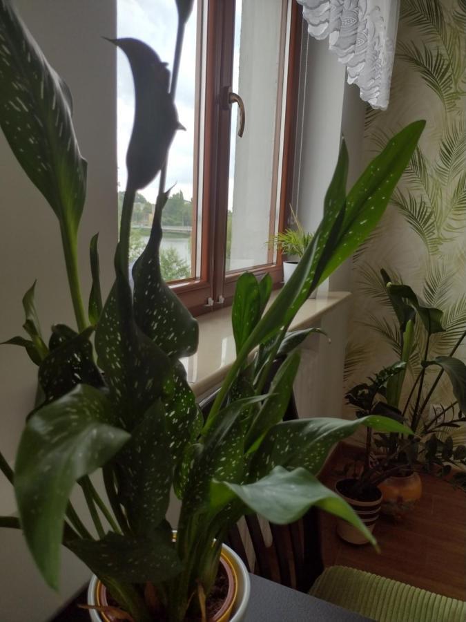 Apartament Nad Jeziorakiem Iława Eksteriør bilde